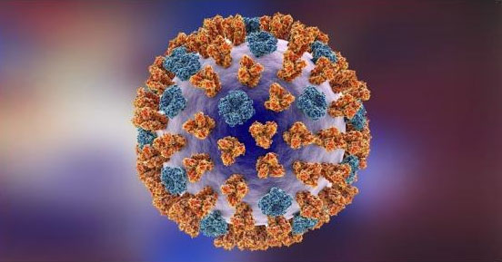 External structure of influenza A virus