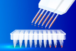 Analysis of Factors Influencing ELISA Detection