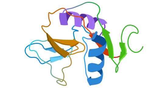 Schematic diagram of CD69 structure