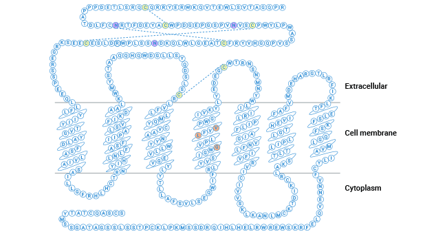 GLP-1R structure