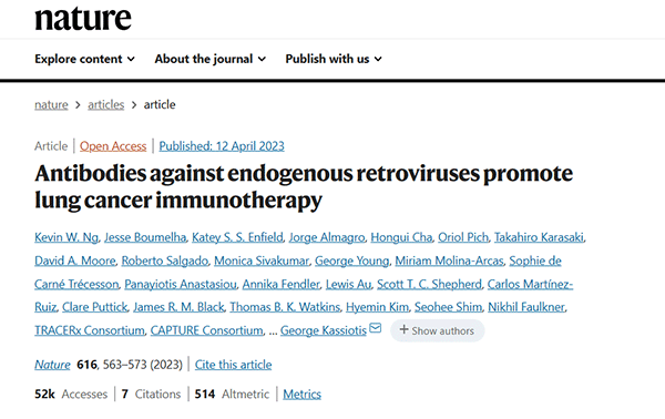 Antibodies against endogenous retroviruses promote lung cancer immunotherapy