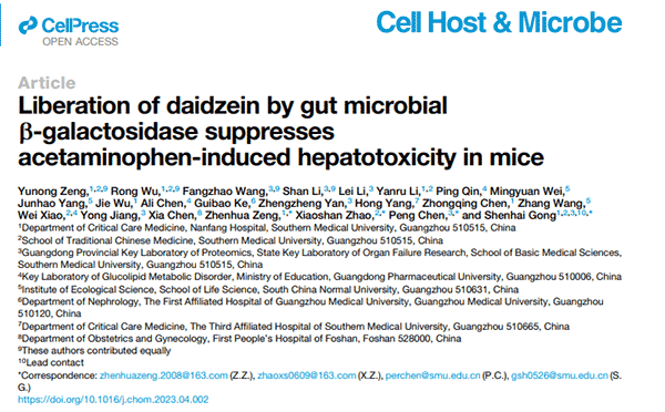 Liberation of daidzein by gut microbial b-galactosidase suppressesacetaminophen-induced hepatotoxicity in mice