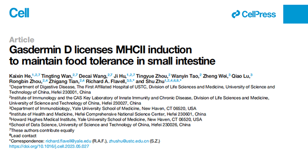 Gasdermin D licenses MHCII induction to maintain food tolerance in small intestine