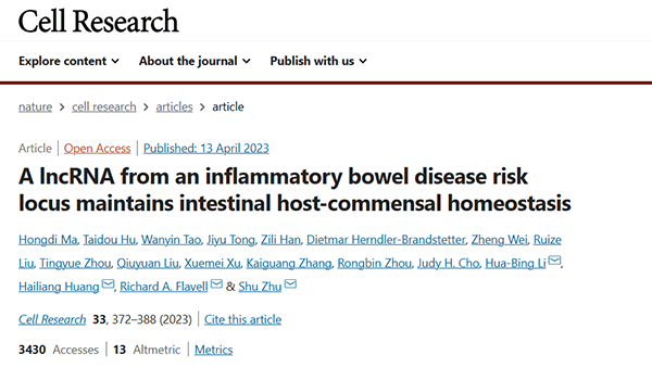 A lncRNA from an inflammatory bowel disease risk locus maintains intestinal host-commensal homeostasis