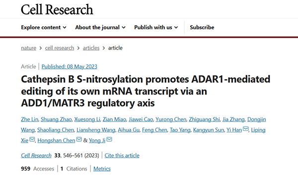 Cathepsin B S-nitrosylation promotes ADAR1-mediated editing of its own mRNA transcript via an ADD1/MATR3 regulatory axis