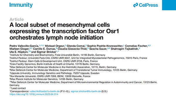 A local subset of mesenchymal cells expressing the transcription factor Osr1 orchestrates lymph node initiation