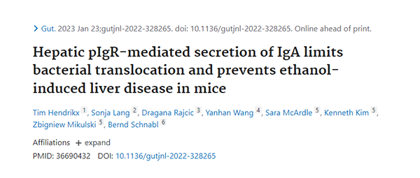 Hepatic pIgR-mediated secretion of IgA limits bacterial translocation and prevents ethanol-induced liver disease in mice