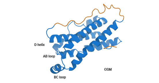 OSM structure