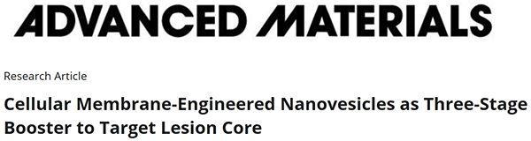 Cellular Membrane‐Engineered Nanovesicles as Three‐Stage Booster to Target Lesion Core