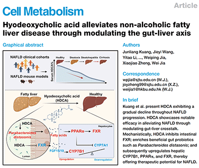 Hyodeoxycholic acid alleviates non-alcoholic fatty liver disease through modulating the gut-liver axis