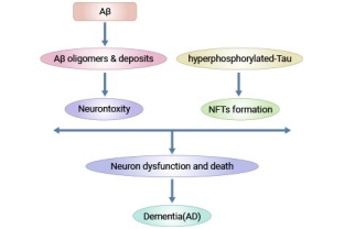 The Memory thief - Alzheimer's disease