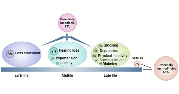 Effects of modifiable and non-modifiable risk factors on Alzheimer's disease