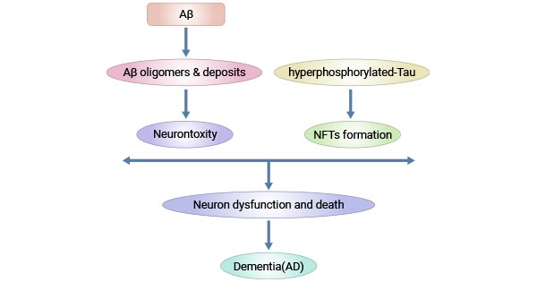 Pathogenesis of Alzheimer's disease