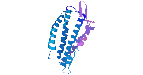 The molecular structure of CCR9
