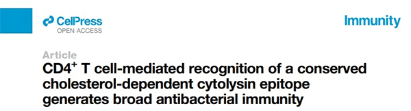 CD4+ T cell-mediated recognition of a conserved cholesterol-dependent cytolysin epitope generates broad antibacterial immunity