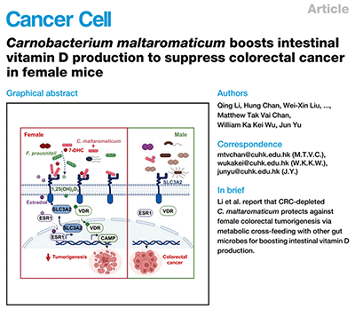 Carnobacterium maltaromaticum boosts intestinal vitamin D production to suppress colorectal cancer in female mice