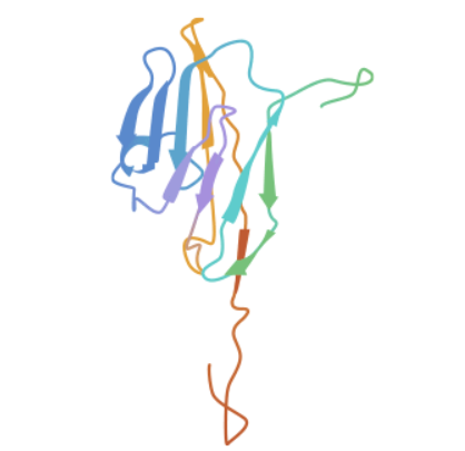 CEACAM8: a Member of CEA Family, Emerging as a Vital Player in Gynaecological or Gastrointestinal Cancer Research!