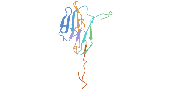 CEACAM8 structure