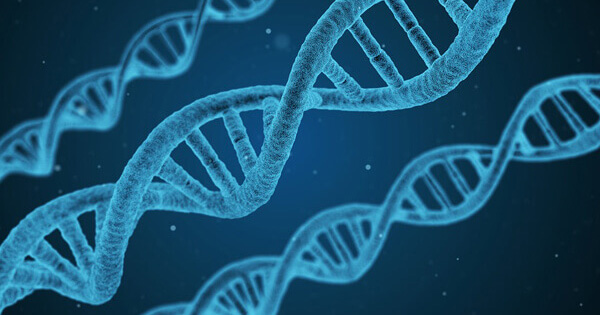 Applications of recombinant proteins in biotechnology