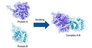 Exploring Protein-Protein Interactions: A Comprehensive Guide to Understanding and Utilizing It