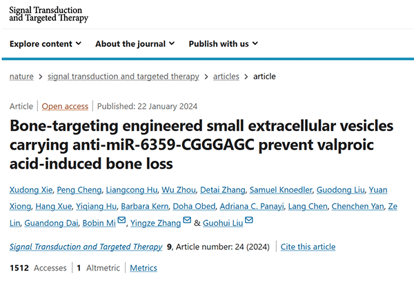 ABone-targeting engineered small extracellular vesicles carrying anti-miR-6359-CGGGAGC prevent valproic acid-induced bone loss
