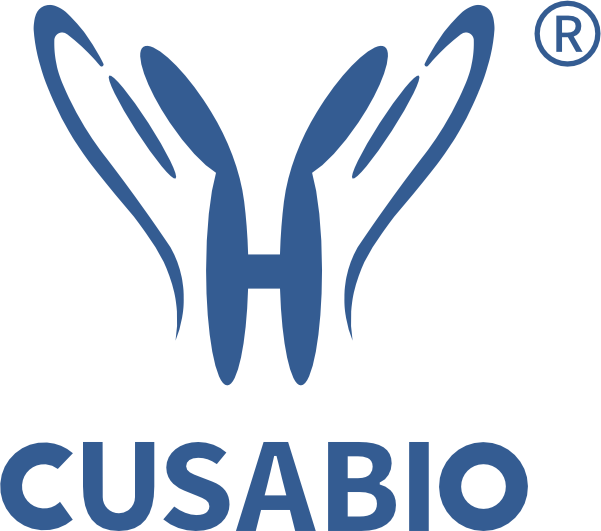 New Power in the Fight Against Cancer: Spotlight on Rising Stars of ADC Drugs at the 2024 ASCO Annual Meeting