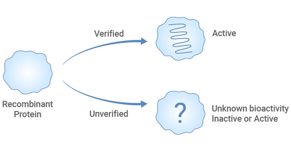 Verified or Unverified Recombinant Proteins
