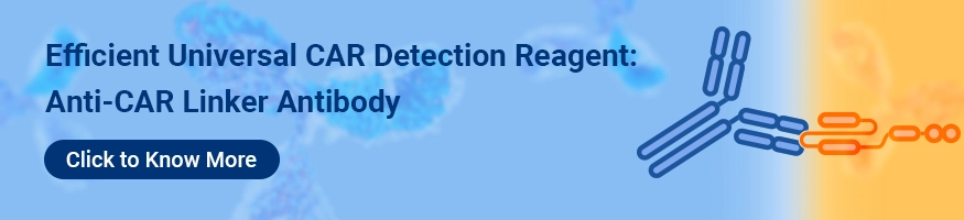 CUSABIO Anti-CAR Linker Antibody