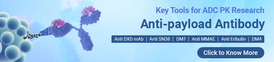 CUSABIO Anti-payload Antibody
