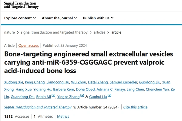 Bone-targeting engineered small extracellular vesicles carrying anti-miR-6359-CGGGAGC prevent valproic acid-induced bone loss