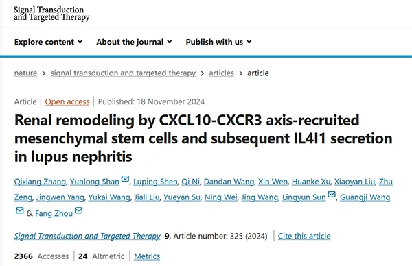 Renal remodeling by CXCL10-CXCR3 axis-recruited mesenchymal stem cells and subsequent IL4I1 secretion in lupus nephritis
