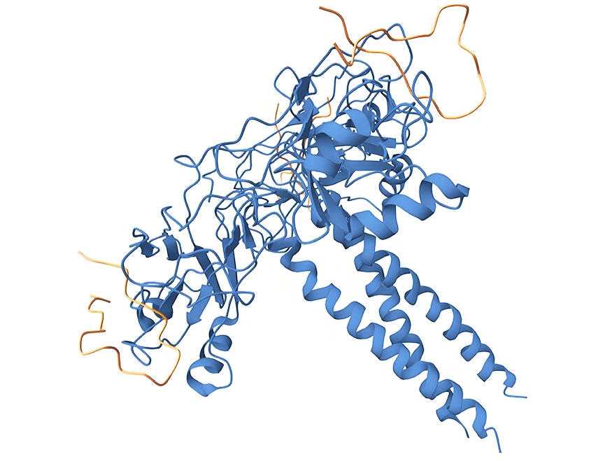 Structure of LTBR Protein