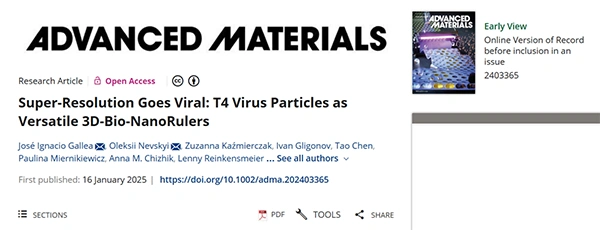 Super‐Resolution Goes Viral: T4 Virus Particles as Versatile 3D‐Bio‐NanoRulers