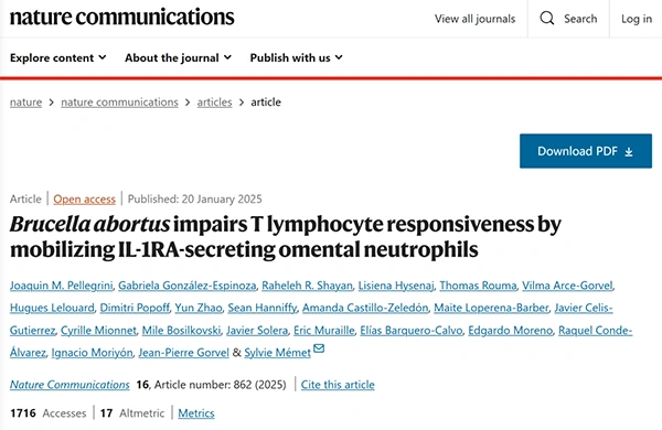 Brucella abortus impairs T lymphocyte responsiveness by mobilizing IL-1RA-secreting omental neutrophils