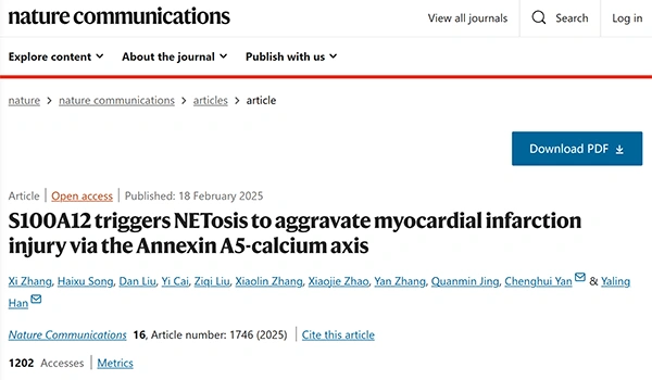 S100A12 triggers NETosis to aggravate myocardial infarction injury via the Annexin A5-calcium axis