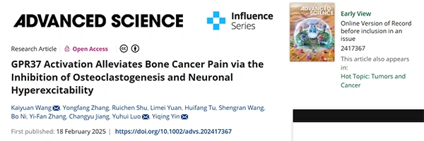 GPR37 Activation Alleviates Bone Cancer Pain via the Inhibition of Osteoclastogenesis and Neuronal Hyperexcitability