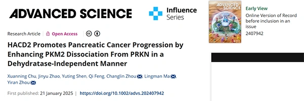 HACD2 Promotes Pancreatic Cancer Progression by Enhancing PKM2 Dissociation From PRKN in a Dehydratase‐Independent Manner