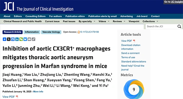 Inhibition of aortic CX3CR1+ macrophages mitigates thoracic aortic aneurysm progression in Marfan syndrome in mice
