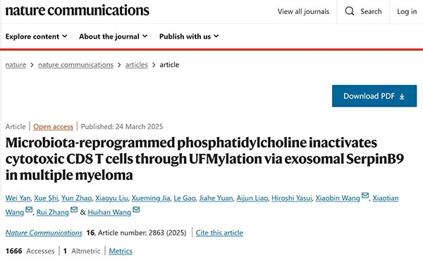 Microbiota-reprogrammed phosphatidylcholine inactivates cytotoxic CD8 T cells through UFMylation via exosomal SerpinB9 in multiple myeloma