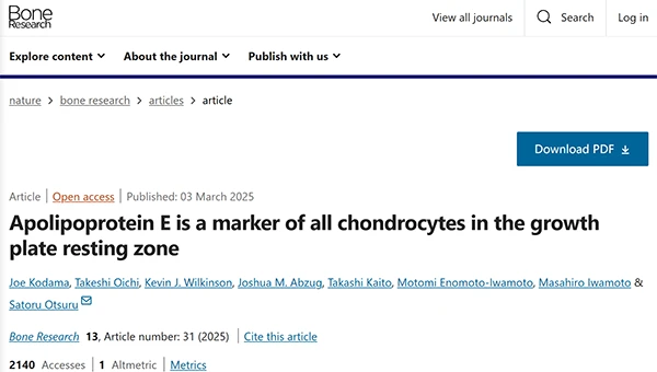 Apolipoprotein E is a marker of all chondrocytes in the growth plate resting zone