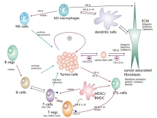 How the Tumor Microenvironment Fuels Cancer's Deadly Evolution