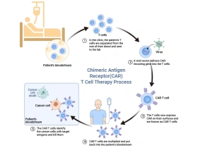 Pioneering CAR-T Cell Therapy: Advancing Personalized Cancer Treatment