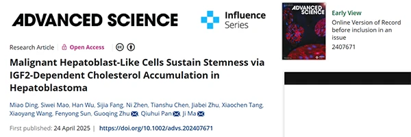 Malignant Hepatoblast‐Like Cells Sustain Stemness via IGF2‐Dependent Cholesterol Accumulation in Hepatoblastoma
