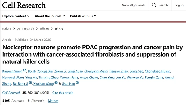 Nociceptor neurons promote PDAC progression and cancer pain by interaction with cancer-associated fibroblasts and suppression of natural killer cells