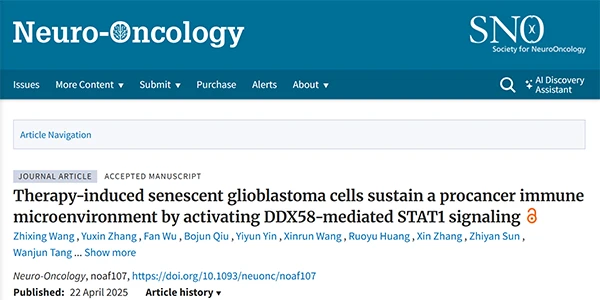 Therapy-induced senescent glioblastoma cells sustain a procancer immune microenvironment by activating DDX58-mediated STAT1 signaling