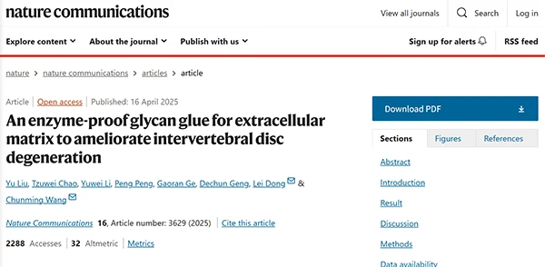 An enzyme-proof glycan glue for extracellular matrix to ameliorate intervertebral disc degeneration
