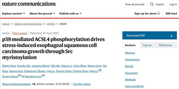p38 mediated ACSL4 phosphorylation drives stress-induced esophageal squamous cell carcinoma growth through Src myristoylation