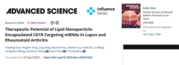 Therapeutic Potential of Lipid Nanoparticle‐Encapsulated CD19‐Targeting mRNAs in Lupus and Rheumatoid Arthritis