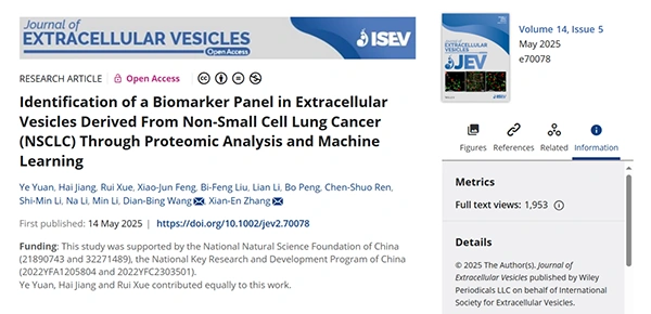 Identification of a Biomarker Panel in Extracellular Vesicles Derived From Non‐Small Cell Lung Cancer (NSCLC) Through Proteomic Analysis and Machine Learning
