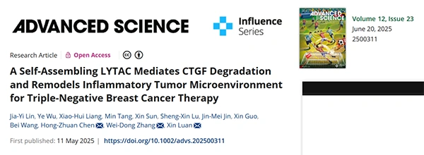 A Self‐Assembling LYTAC Mediates CTGF Degradation and Remodels Inflammatory Tumor Microenvironment for Triple‐Negative Breast Cancer Therapy